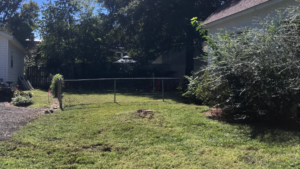 After tree removal and cleanup, showing the cleared backyard and remaining stump.